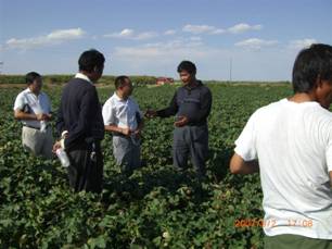 07年到184團(tuán)種植戶試驗地.jpg